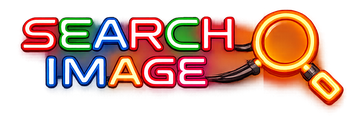Search Image