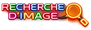 searchBtn